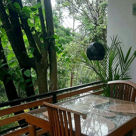 Dhanudi Homestay Элла Экстерьер фото