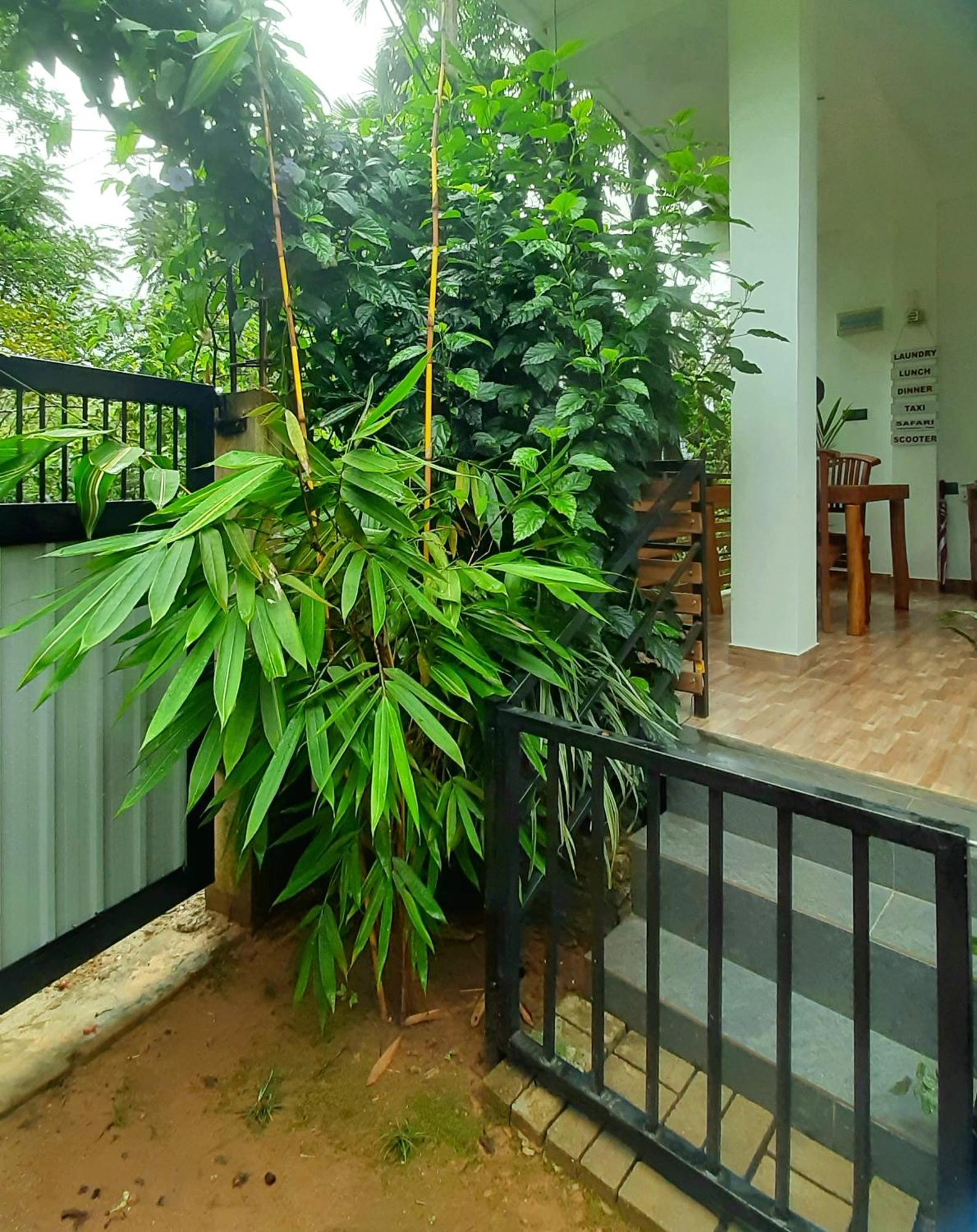Dhanudi Homestay Элла Экстерьер фото